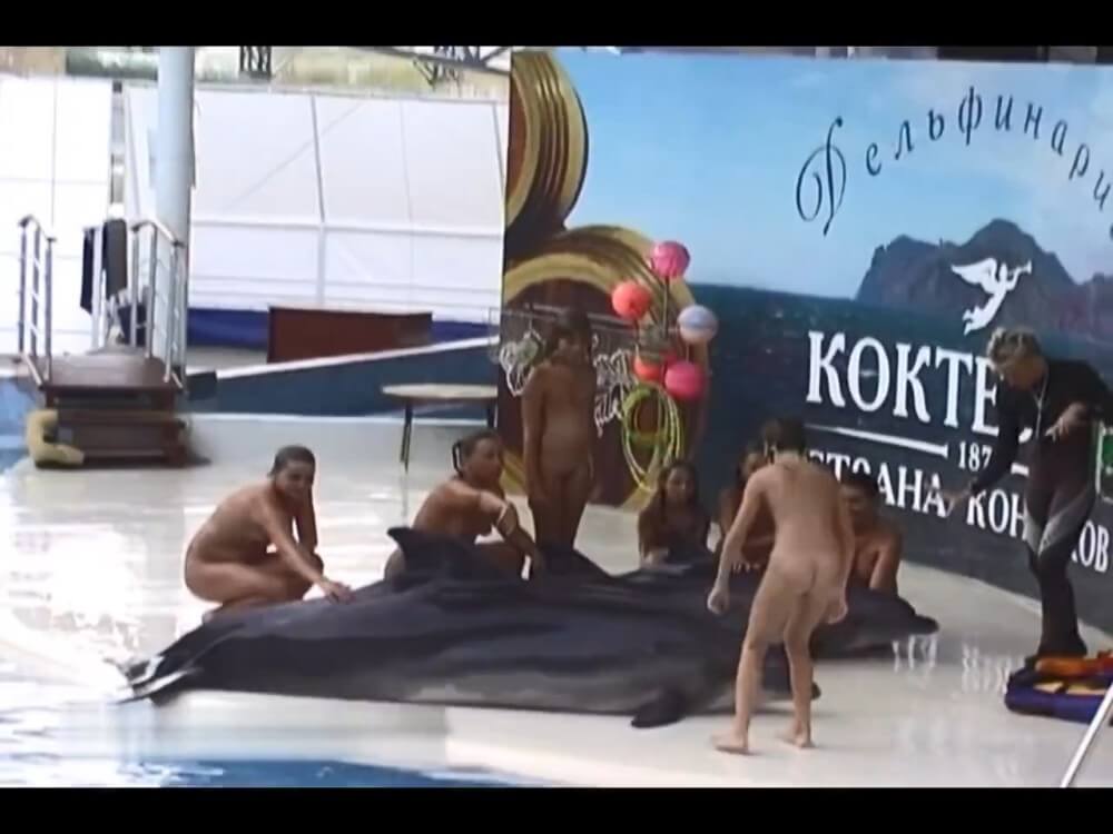 Relaxing at the dolphinarium - Nudists value simplicity and openness